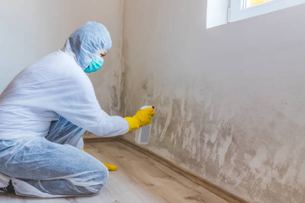 Licensed Crawl Space Mold Removal service in Cumberland, NC - WQB Mold Removal