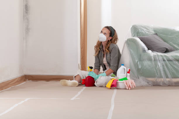 Reliable Crawl Space Mold Removal contractor in Cumberland, NC by WQB Mold Removal