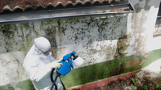 Top rated local Crawl Space Mold Removal specialists in Cumberland, NC